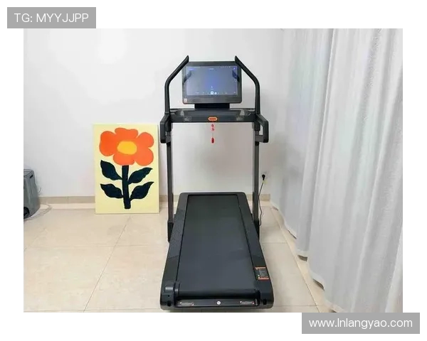 跳的健身器材有哪些适合高强度燃脂的类型 跳的健身器材有哪些适合高强度燃脂的类型