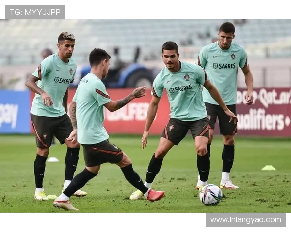 世界杯时间安排揭晓 各队备战进入关键期